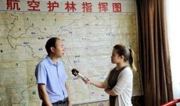 田林新闻爆料事件始末,真相与争议的交织